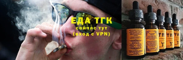 индика Вяземский