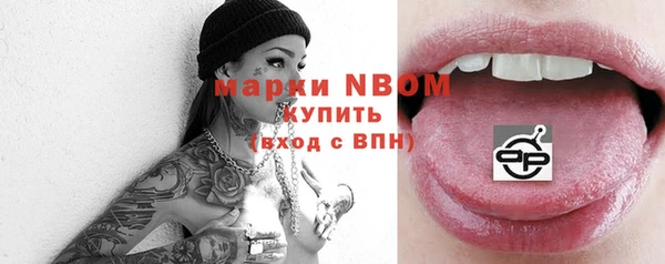 индика Вяземский
