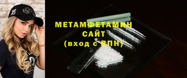 индика Вяземский