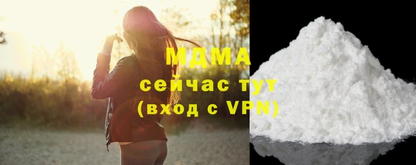 индика Вяземский