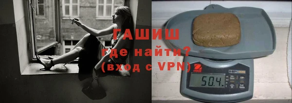 индика Вяземский