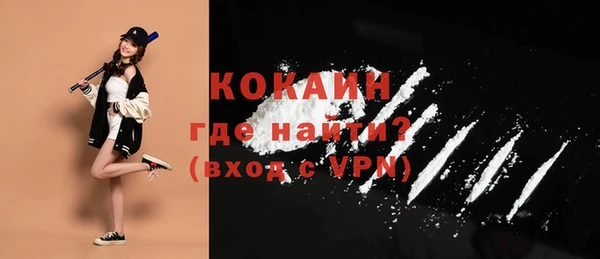 индика Вяземский
