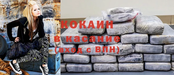 индика Вяземский