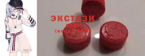 индика Вяземский