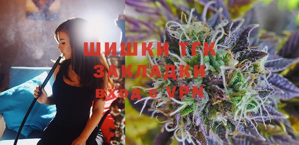 индика Вяземский