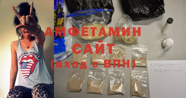 индика Вяземский