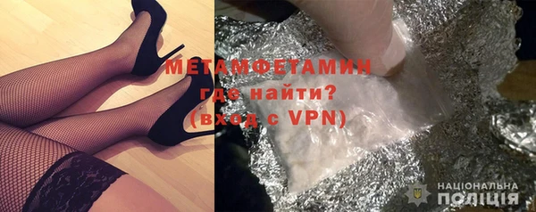 индика Вяземский