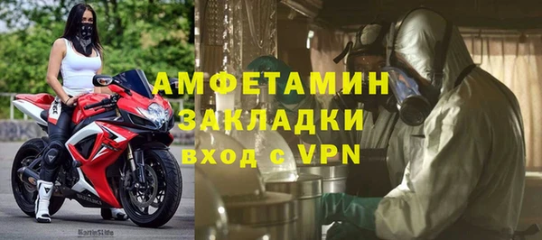 индика Вяземский