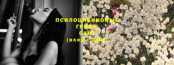 индика Вяземский