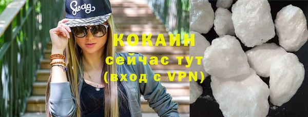 индика Вяземский
