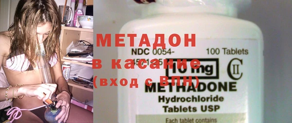индика Вяземский