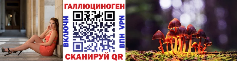 Псилоцибиновые грибы Cubensis  Северодвинск 